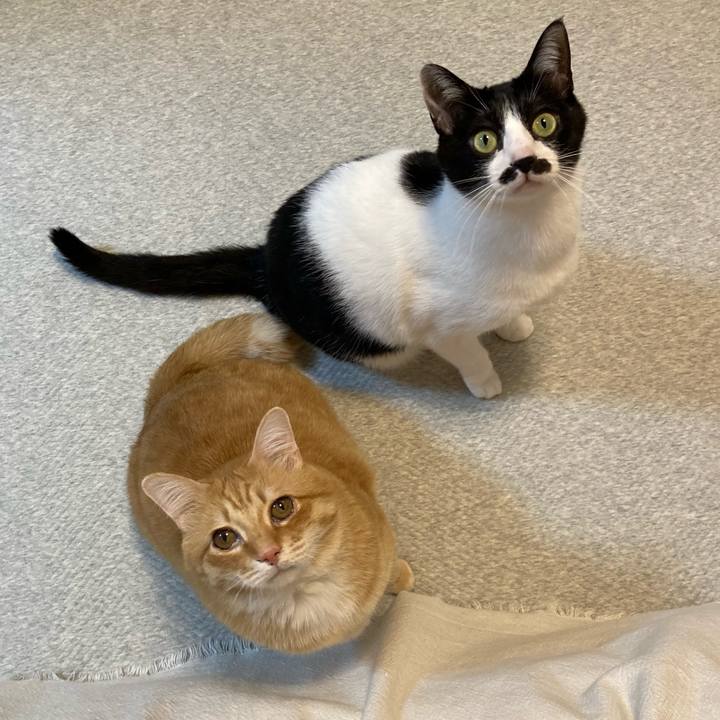 0c663908 c7a9 4bf8 b307 8d8d5b1cb364 1772629217053