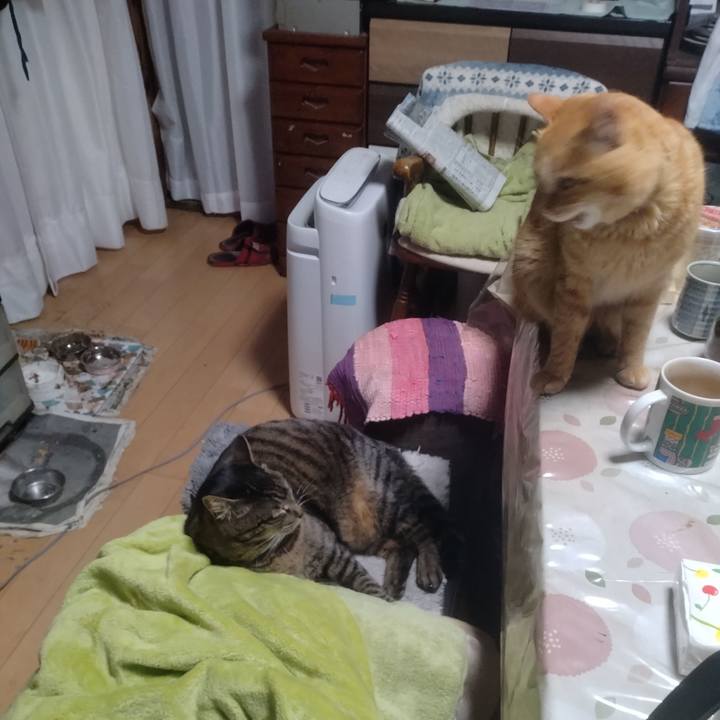 0c663e6f 8220 4867 a068 093c9f995795 1678141114426