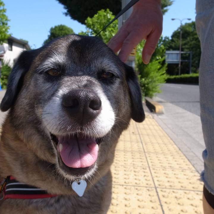 0c6674f7 ba5d 4768 ad4c 4a1248da84c3 1727310152987