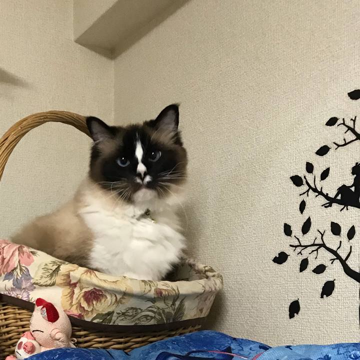 0c66a1bb 3912 49ea 9a7c bffb4f13b4d3 1525731825778