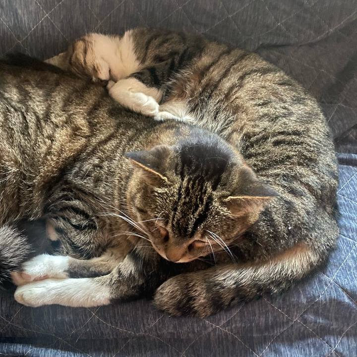 0c67058e 1baf 46b0 b75e cc03ec94b6df 1650977762234