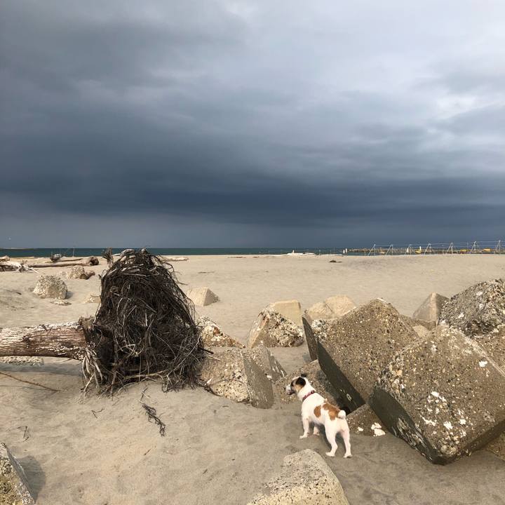 0c672941 4d7e 4973 98ee ec85126a32c3 1597446181077