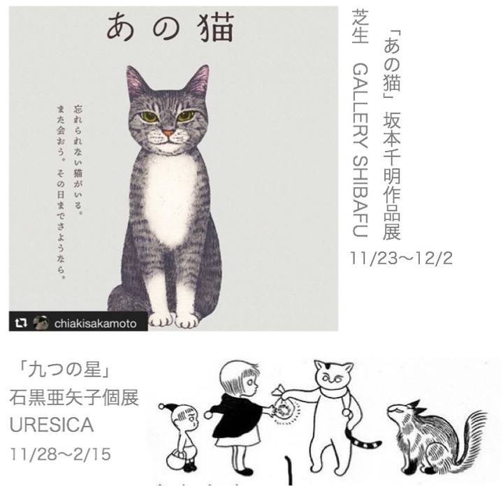 0c672d5d 6848 4acc 9737 16998948477d 1574388046484