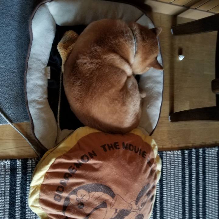 0c673526 407a 4c8e a9f1 d401dab75bdb 1634085615841