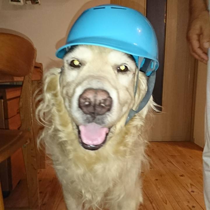 0c6798c0 c2a6 4031 9085 9ecc4743c0d2 1548215838370