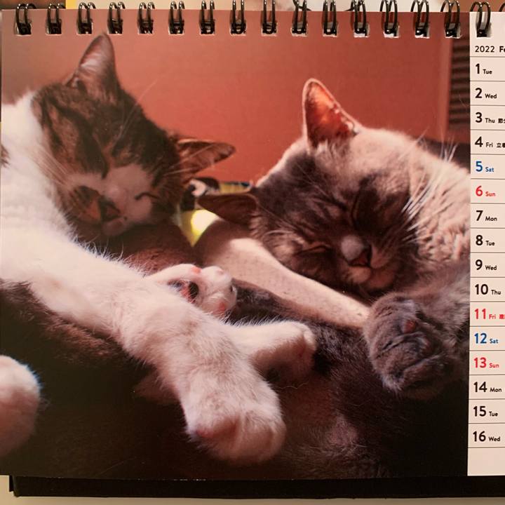 0c684fd8 faca 4b3d 83d0 e5e8f842ef4e 1643835259494