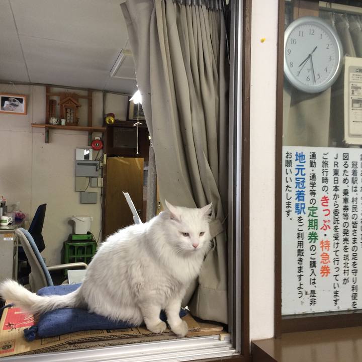 0c68a17d eedb 4c0d add7 8a436a2cca81 1516660187190