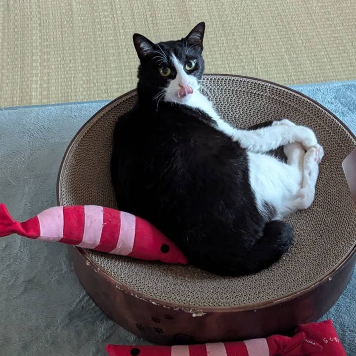 0c68e4bf db5e 48a4 b265 0488548dbf41 1749969232034