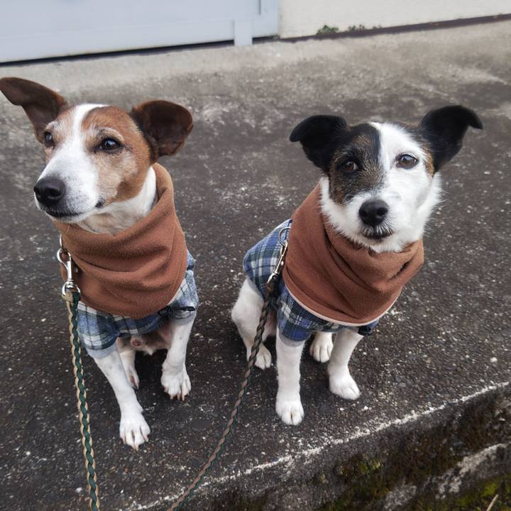 0c68f674 9ba9 4d48 99f6 0c3dae174889 1771367392139