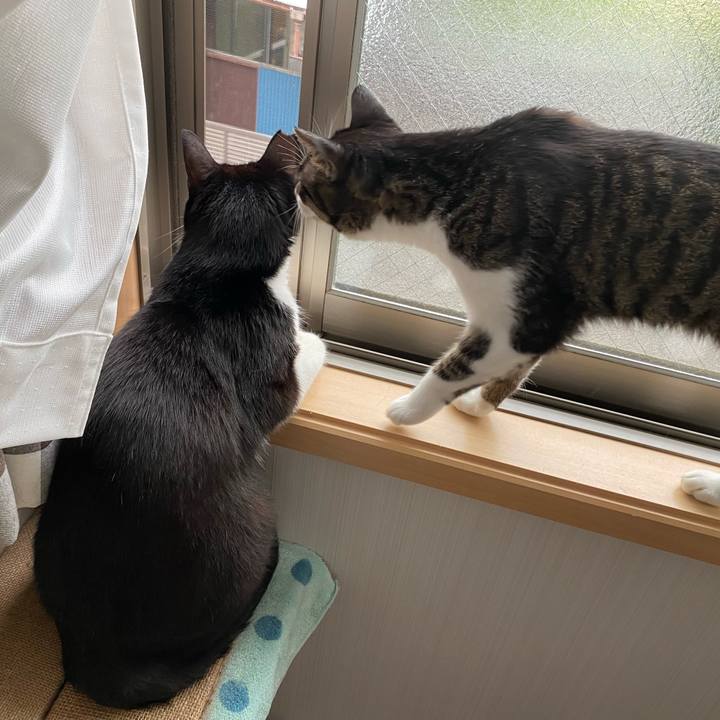 0c6920d8 2e13 4019 bca4 fb5609b866f2 1658280001148