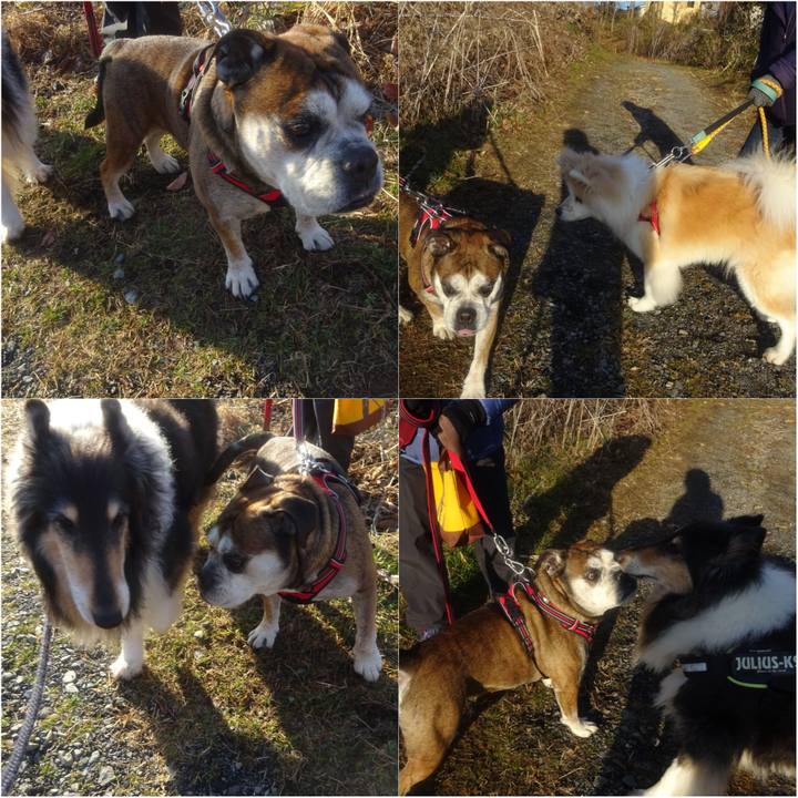 0c6928f9 17fc 4cc0 9343 94ac0607c532 1612704556536