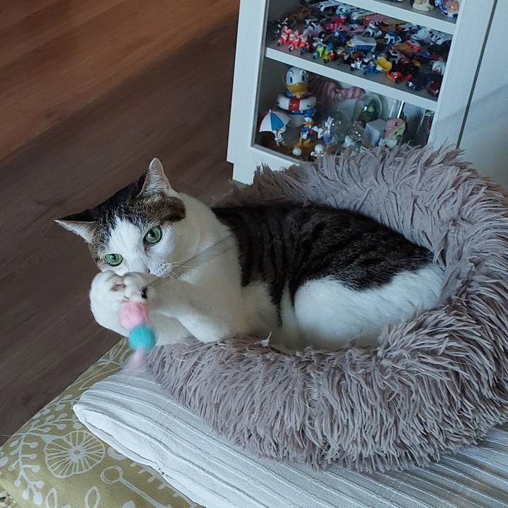 0c6940b8 13e9 4573 874b e98c30dc4575 1744694297521