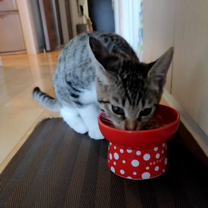 0c694793 3c92 4f59 946f c9669c5f36a5 1627855925631