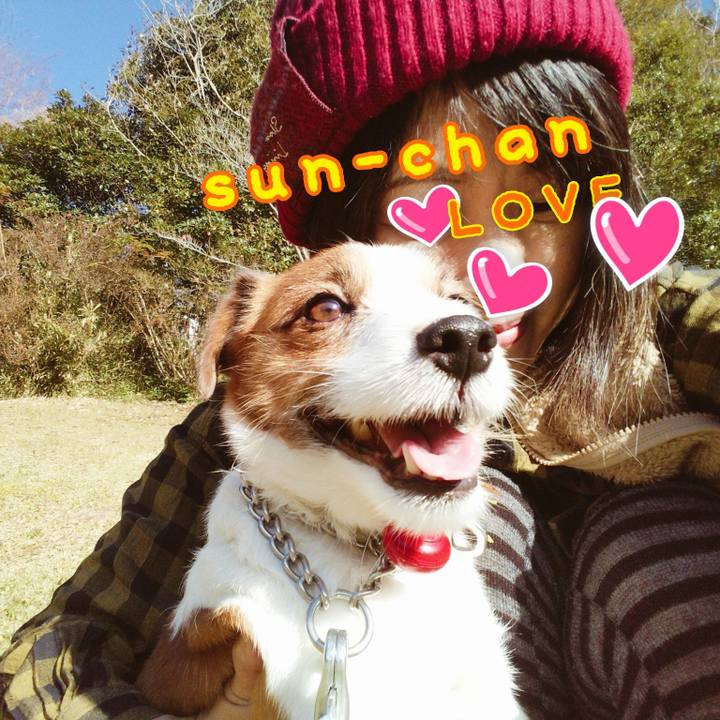 0c695017 e860 4e6f bafb e148371f7ebc 1543378694984