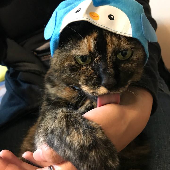 0c695ed2 4112 489a 9bfd ff13ce05f776 1525585068087