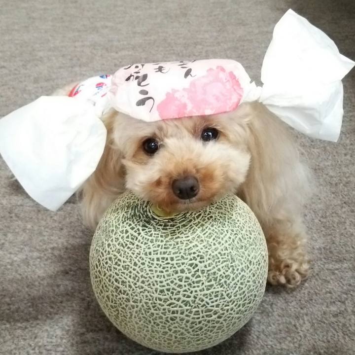 0c69abbf 1791 4881 b569 d7753f34974a 1528521535951