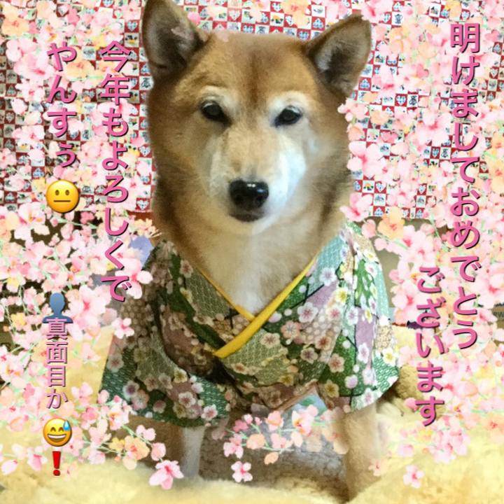 0c69c2ee c03a 47bb b7dc 032588d2283c 1577836477771