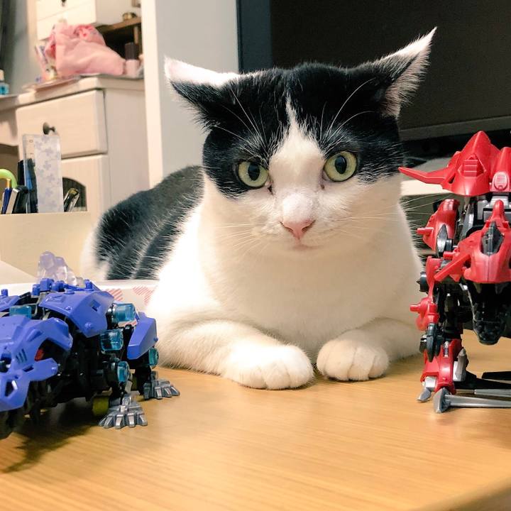 0c69c659 f767 4961 a8bd ff3186b3e780 1532441091911