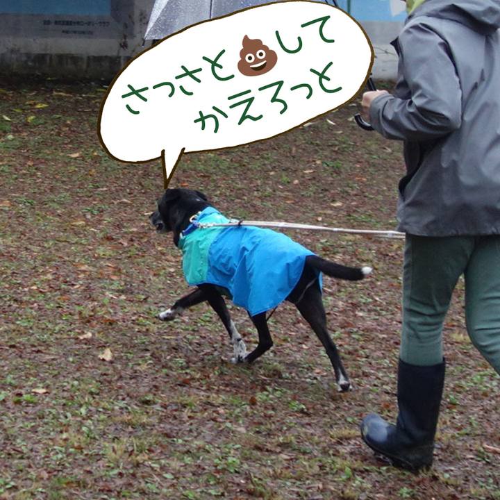 0c69cdbd a936 4ea4 ba01 c7f4b67bf1ea 1702340514378