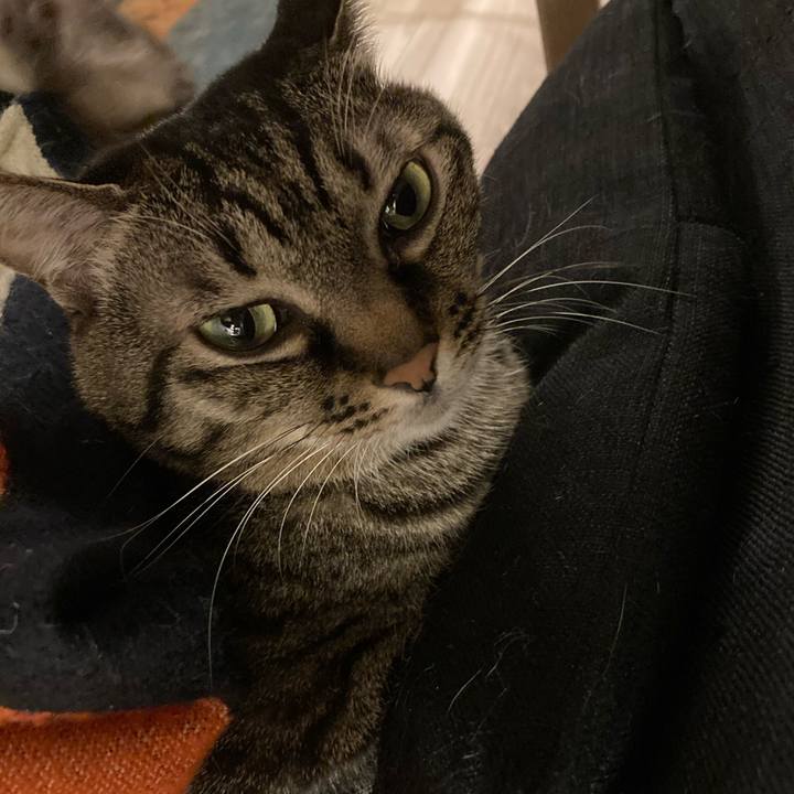 0c69cea1 f81c 4005 855d 387d51ce1720 1638013845962