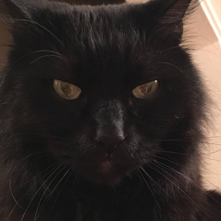 0c69d121 822d 402e a3b6 b7d160450e4d 1514730921795