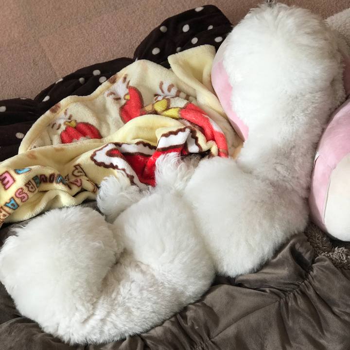 0c69e737 f717 4e50 bad1 3174b174f66f 1576027231934