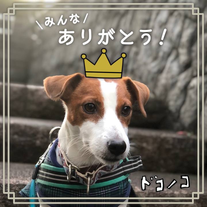 0c6a2282 b422 4eef 8fcd 1bb4c1b346fe 1623048925283