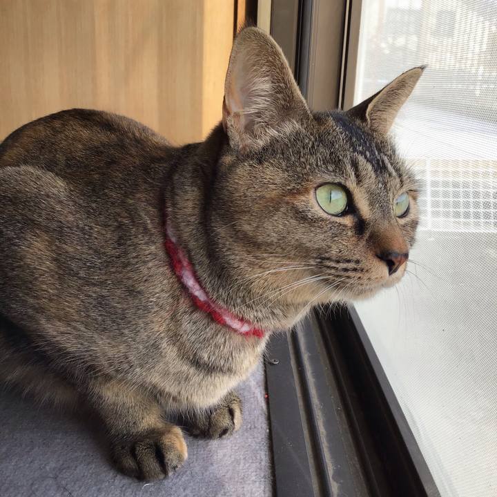 0c6a2904 83e6 4d6f adf6 79e2ea7d0bea 1616568137064