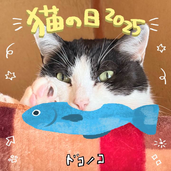 0c6ac5df c854 45d7 9e43 8d125fdedf0d 1740186714655