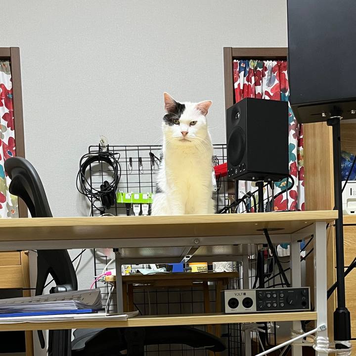 0c6afe77 12b4 47f0 9c6b 000af8c9f931 1715685751393