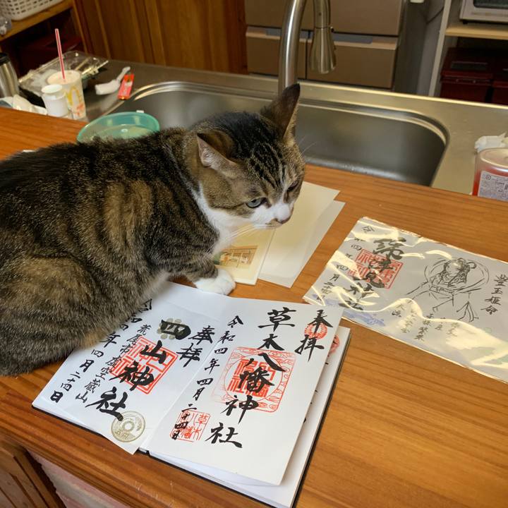 0c6b0855 7dda 4564 ac62 5186f358114a 1650803646851