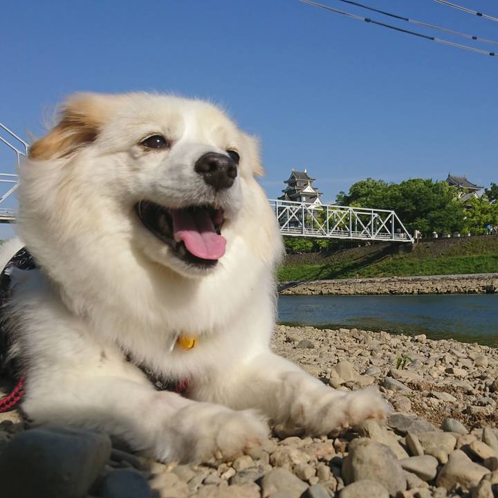 0c6b3783 6bdf 4600 8fd5 7a40ce0f7975 1525332485961