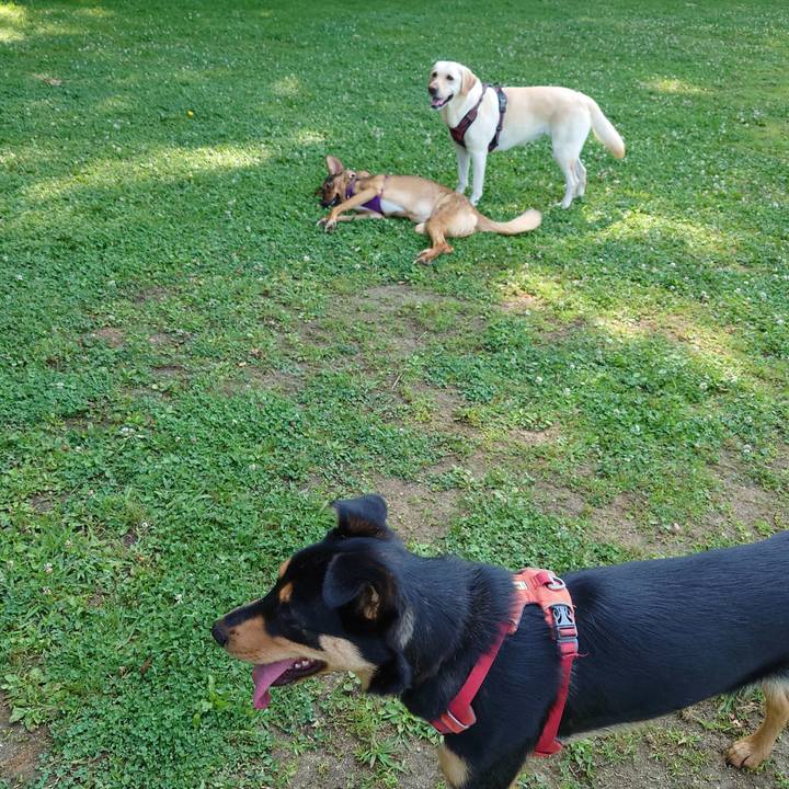 0c6b6bd8 7b07 4930 9070 7a09e0c4d66f 1717809498559