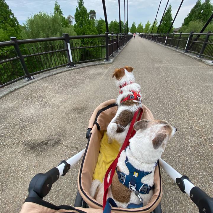 0c6b6ffa 241e 4ca9 867c 02ef1c55c165 1652603922060