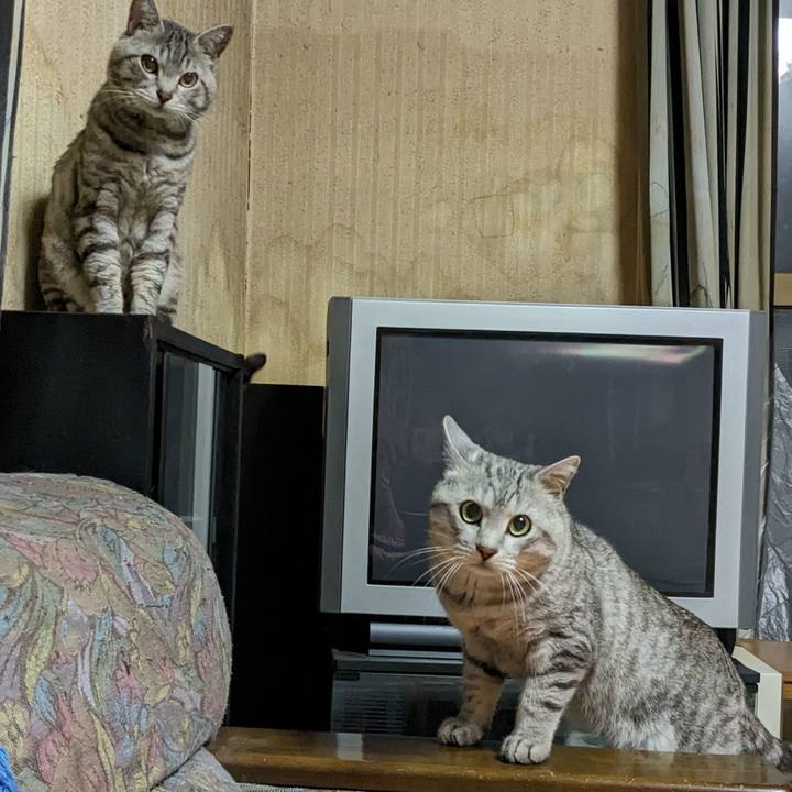 0c6b94f0 5276 4b0d 8640 7245319f8944 1718290343270