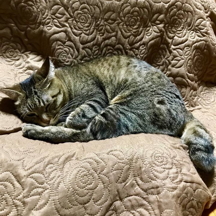 0c6b9672 9ec7 44fe 890c e04365922691 1510064539194