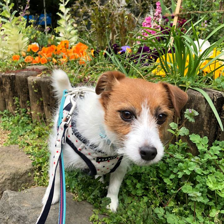 0c6bb854 18d9 40fb bdc6 d156e5e0dcdb 1553926347331