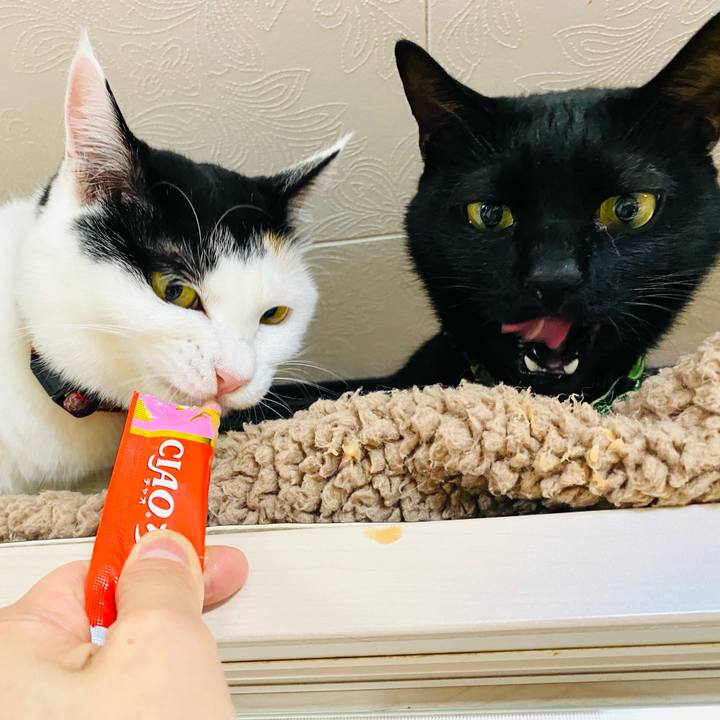 0c6bc2d9 fe43 45a3 968c 46dbdbfdcb09 1698837050531