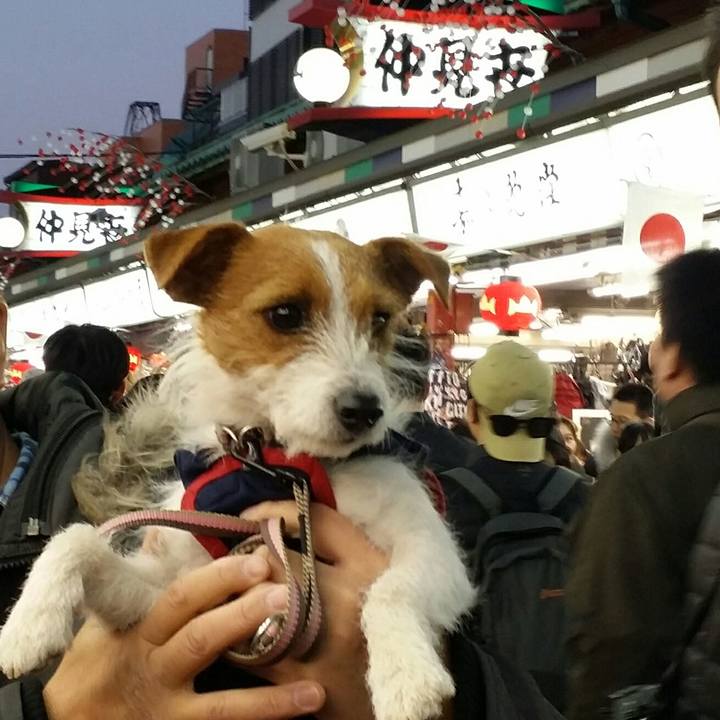 0c6bc347 2cbd 4b52 badd 27e4ad56f729 1514990091955