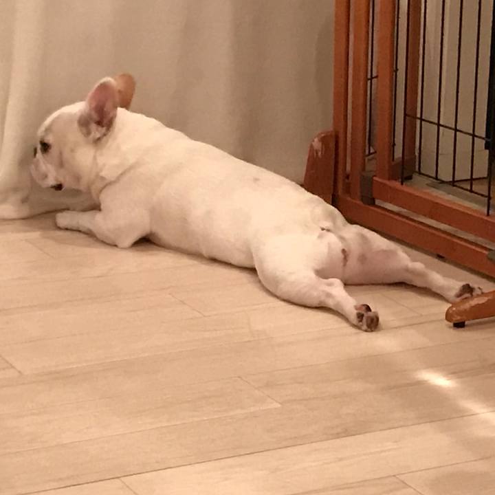 0c6be47a b33c 4f4a a117 a3aec8ea44cc 1510479104892