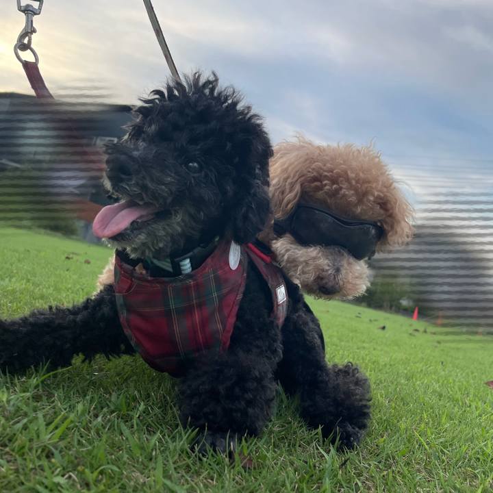 0c6bef40 6afc 44c5 82a6 431a4d92d79f 1757971832448