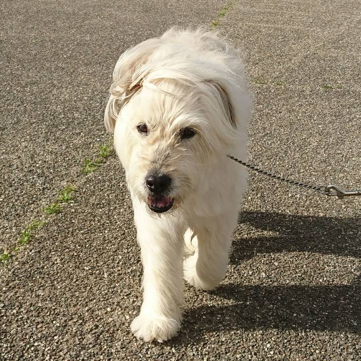 0c6bf1b5 b67e 4cd6 a112 9ac6b17eec40 1589802560186