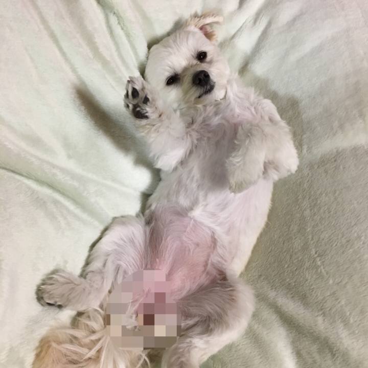 0c6c16dd 131b 4b60 835b baa301462a8f 1522582176633