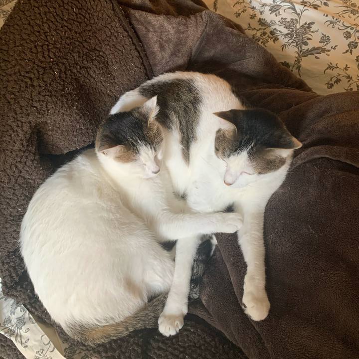 0c6c3a42 144c 45da b002 f80baee9e819 1605662428263