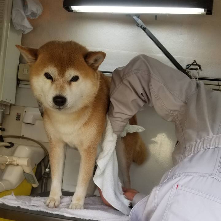 0c6c61c2 9166 4488 9548 9e082990049c 1579834624745