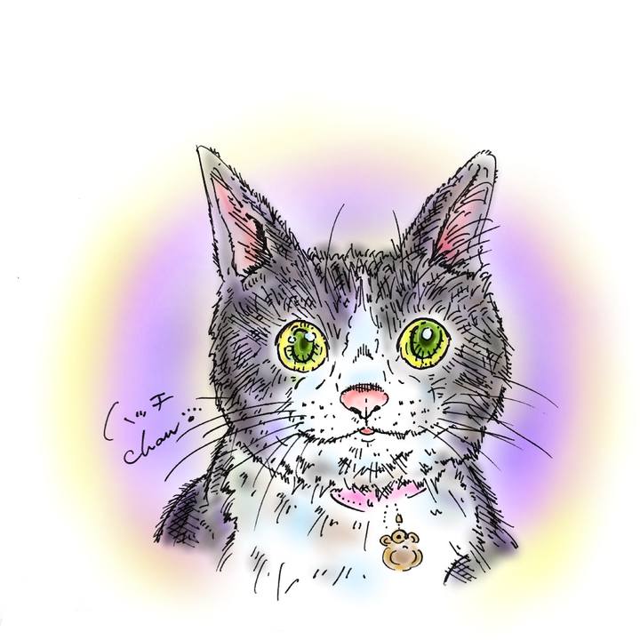 0c6c621c c9fd 4f1f a5e5 77a58041faee 1581871974239