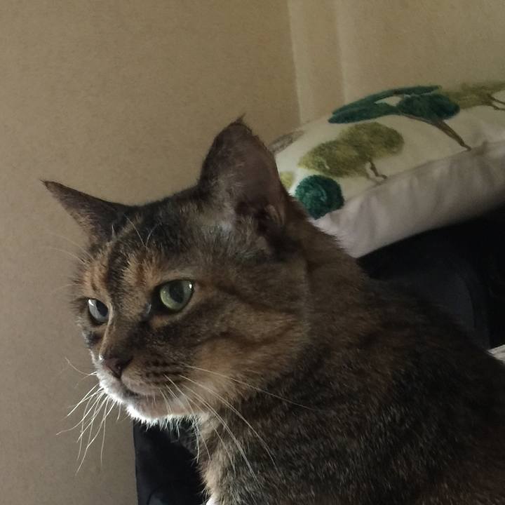 0c6c6d40 8488 4570 bbcb dd7eba76d93e 1569585629079