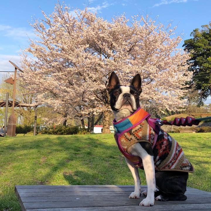 0c6c816a f25d 4f44 9f10 292ffd9db371 1680089752943