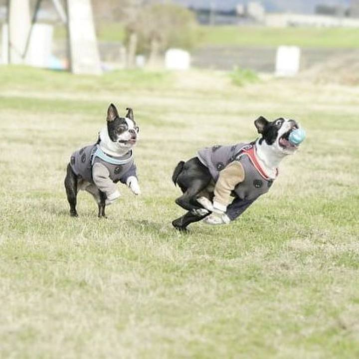 0c6c84ad 3e65 4f58 b185 eb8815b2f15d 1546154690096