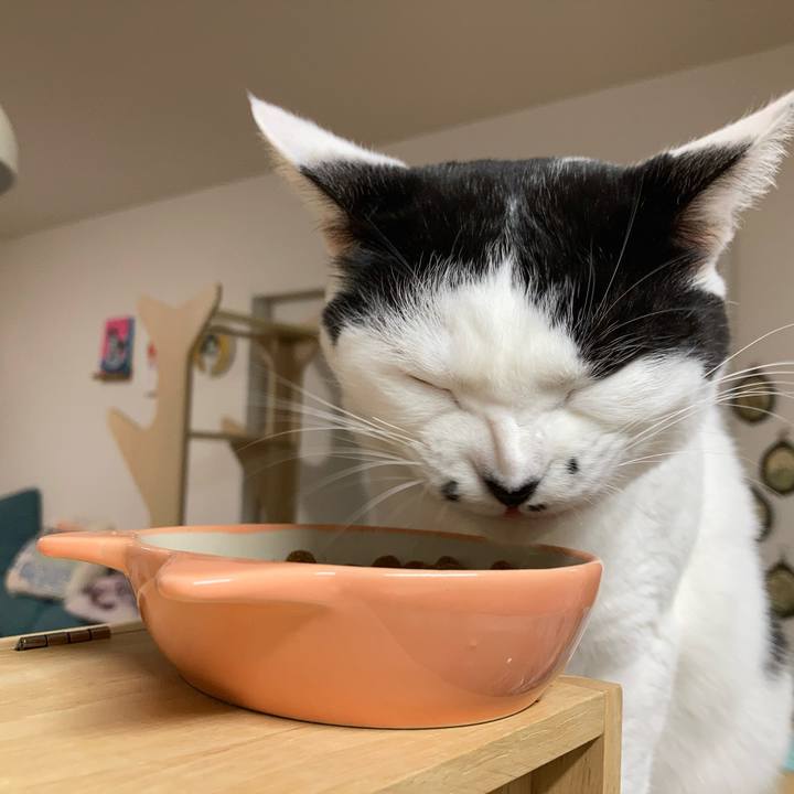 0c6cc475 fbff 435c b57b 5cf0601f59a4 1764189731534